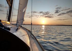 Holz, BioBasedBoats, Projekt